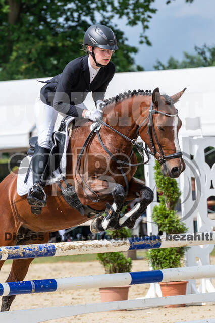 Goldene Schärpe 2021 - Ponys