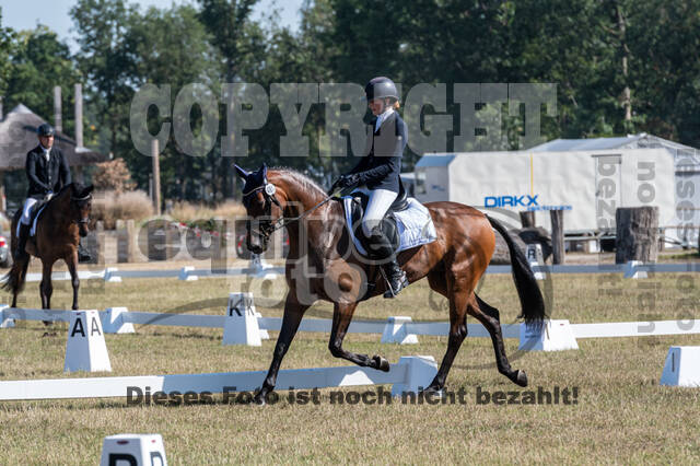 Kronenberg - De Peelbergen (August 2020)