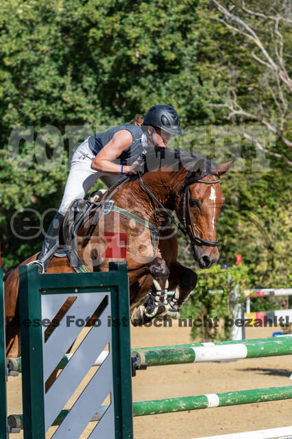 RFV Dinslaken-Hiesfeld (Herbstturnier)