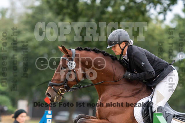 Vielseitigkeit RSV Wesel Obrighoven (26.+27.09.2020)