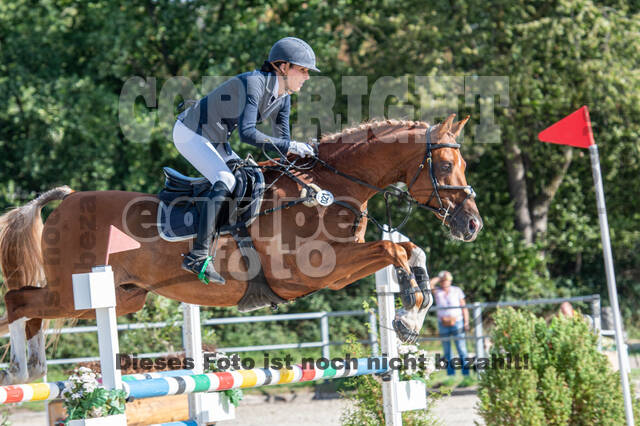 Landesturnier Rheinland, Vielseitigkeit, 22.+23.08.2020
