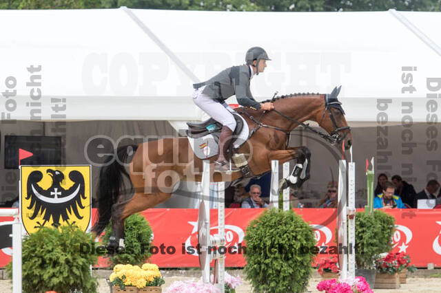 FEI European Championship Eventing 2017
