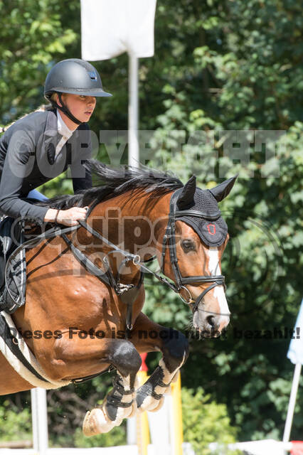 Sommerturnier RFV Dinslaken-Hiesfeld