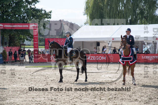 FEI European Championship