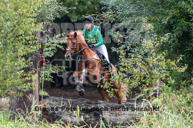 Vielseitigkeit RSV Wesel Obrighoven (26.+27.09.2020)