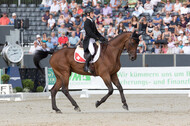 FEI European Championship Eventing 2019