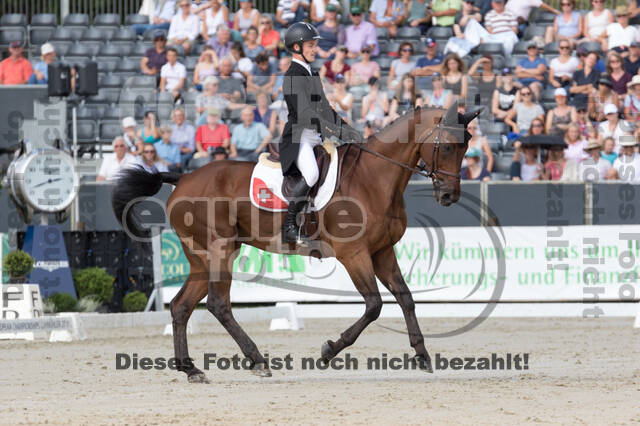 FEI European Championship Eventing 2019