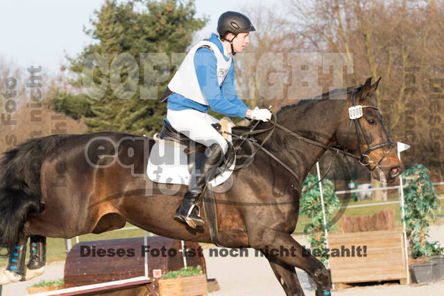 Eventing Langenfeld 2018