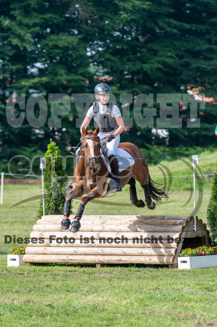 Goldene Schärpe 2021 - Ponys