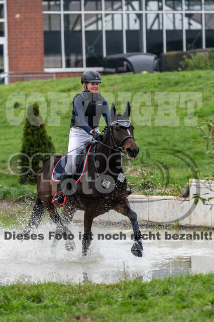 Goldene Schärpe 2020 - Pferde