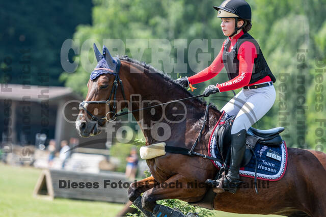 Goldene Schärpe 2021 - Ponys