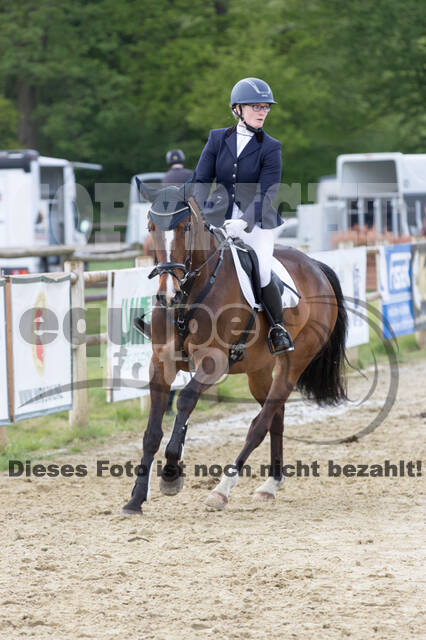 Sterne über Münster 2019 - CCI***S