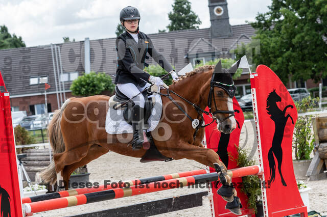 Late-Entry-Vielseitigkeit Langenfeld (06.+07.07.2020)