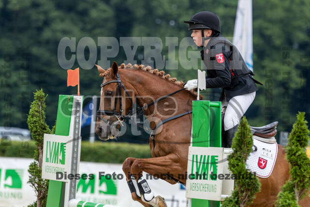 Goldene Schärpe 2021 - Ponys