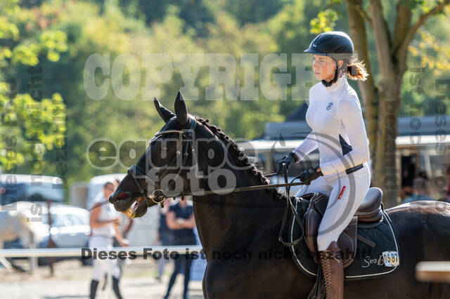 RFV Dinslaken-Hiesfeld (Herbstturnier)