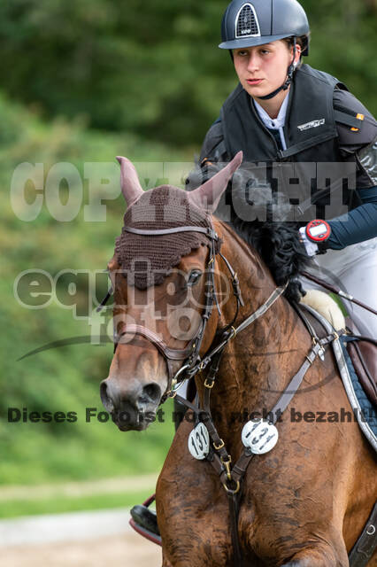 Late-Entry-Vielseitigkeit Langenfeld (06.+07.07.2020)