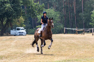 Late-Entry Vielseitigkeit Hamminkeln/Wesel (01.+02.08.2020)