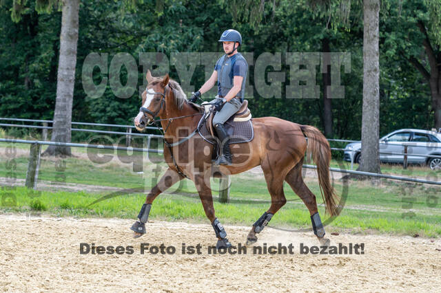 Hunter Geländetraining 10.07.2021 (Sonsbeck)