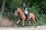 Late-Entry-Vielseitigkeit Langenfeld (11.+13./14.06.2020)