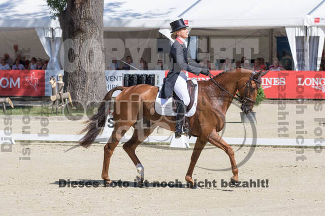 FEI European Championship Eventing 2017