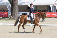 FEI European Championship Eventing 2017