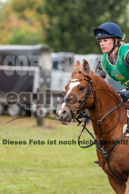 Vielseitigkeit RSV Wesel Obrighoven (26.+27.09.2020)