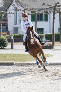 Eventing Langenfeld 2018