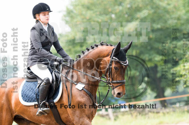 RFV Bad Honnef