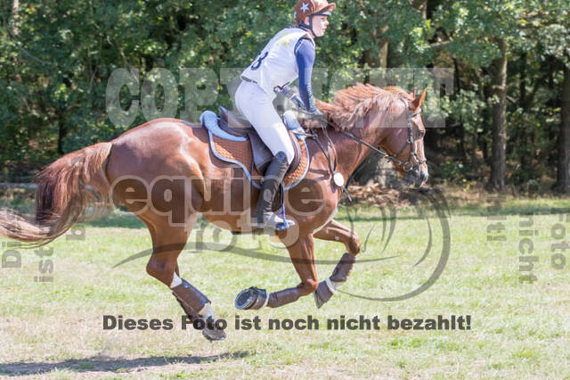 Vielseitigkeitsturnier RSV St. Hubertus Wesel Obrighoven