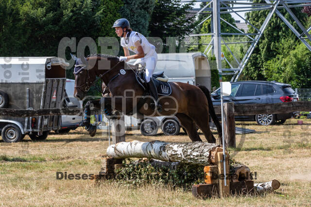 Late-Entry Vielseitigkeit Hamminkeln/Wesel (01.+02.08.2020)