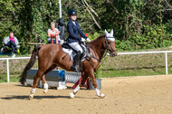 RFV Dinslaken-Hiesfeld (Herbstturnier)