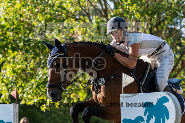 RFV Dinslaken-Hiesfeld (Herbstturnier)