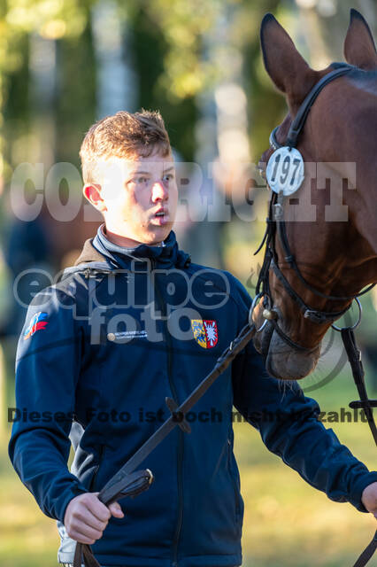 Deutsche Meisterschaft Vielseitigkeit (Luhmühlen)