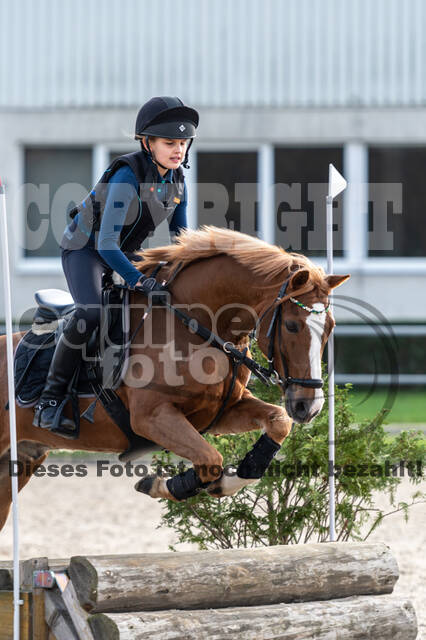 IGV Lehrgang der Sieger der Cups mit Frank Ostholt