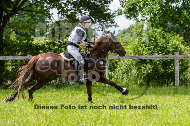 Westerstede Horse Trials 2021