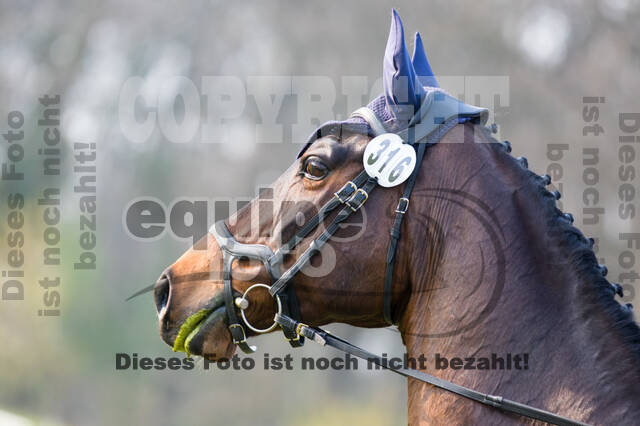 RV Seydlitz Kamp (06.+07.04.2019)