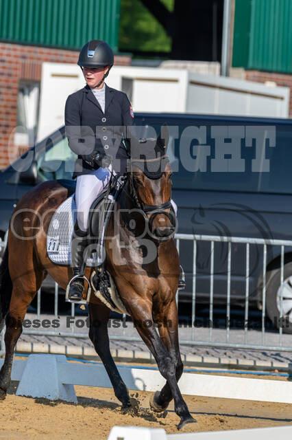 Westerstede Horse Trials 2021