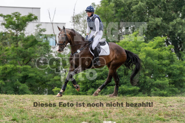 Late-Entry-Vielseitigkeit Langenfeld (11.+13./14.06.2020)