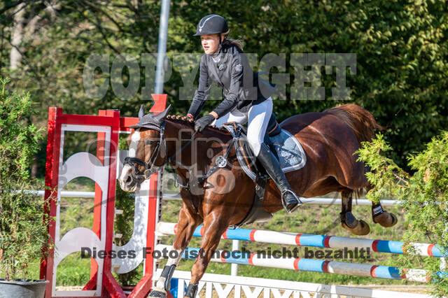 RFV Dinslaken-Hiesfeld (Herbstturnier)