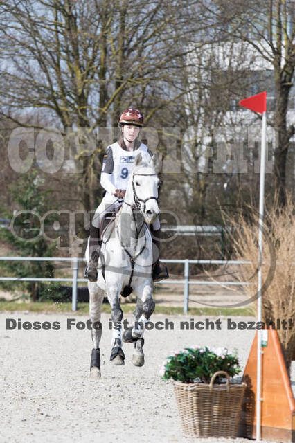 Eventing Langenfeld 2018