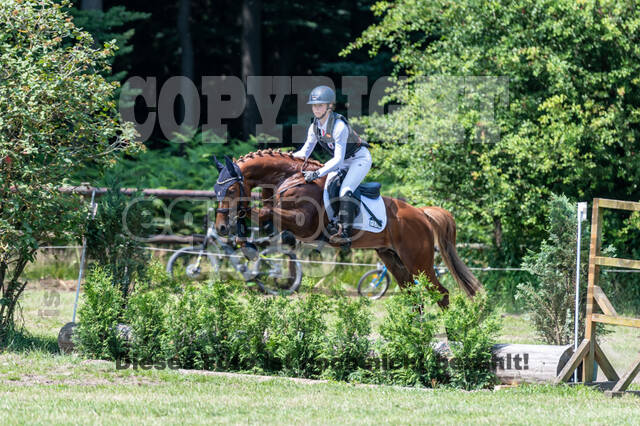 Goldene Schärpe 2021 - Ponys