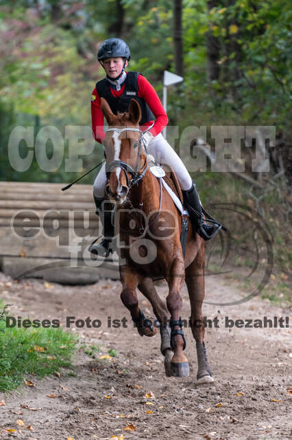 Goldene Schärpe 2020 - Pferde