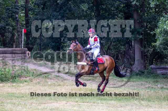 Late-Entry Vielseitigkeit Hamminkeln/Wesel (01.+02.08.2020)