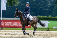 Goldene Schärpe 2021 - Ponys