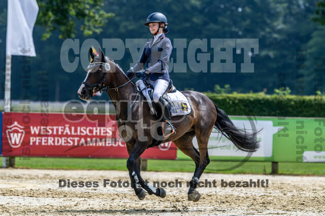 Goldene Schärpe 2021 - Ponys