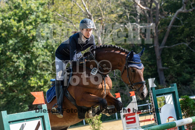 RFV Dinslaken-Hiesfeld (Herbstturnier)