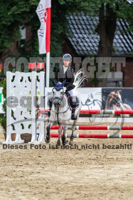 Goldene Schärpe 2021 - Ponys