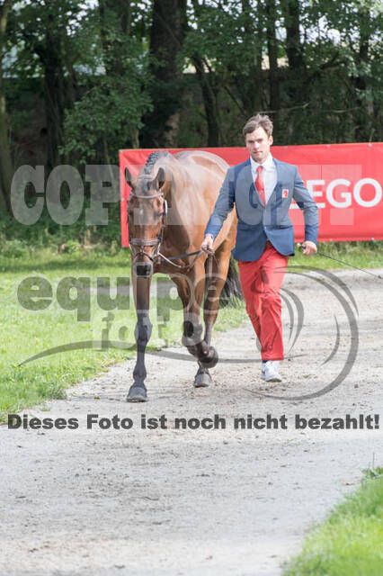 European Championship Eventing 2017