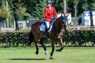 Kronenberg - De Peelbergen (August 2020)