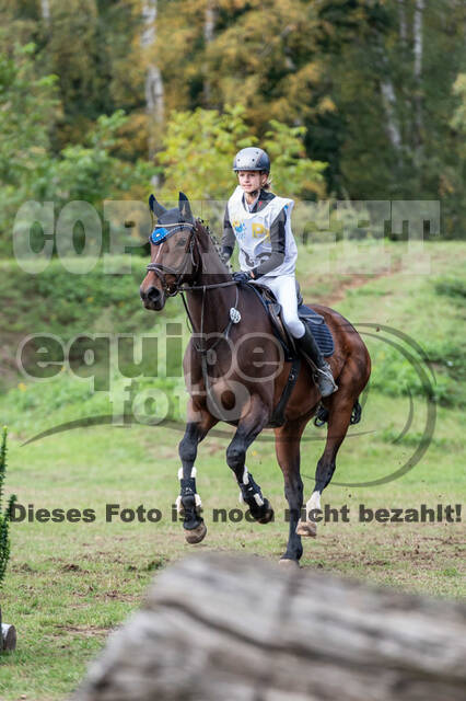Vielseitigkeit RSV Wesel Obrighoven (26.+27.09.2020)